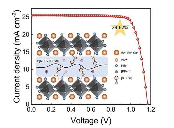 Research shows adding polymerized ionic liquid improves performance of perovskite solar cells