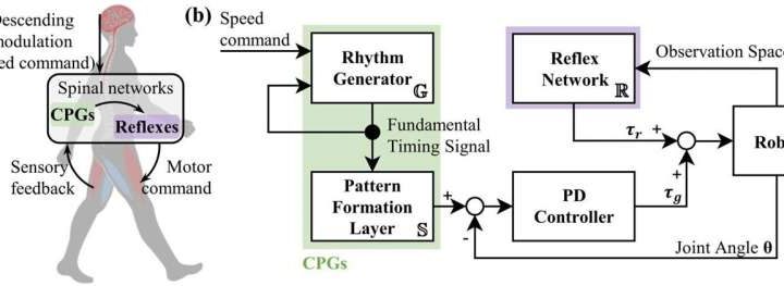 New approach uses generative AI to imitate human motion