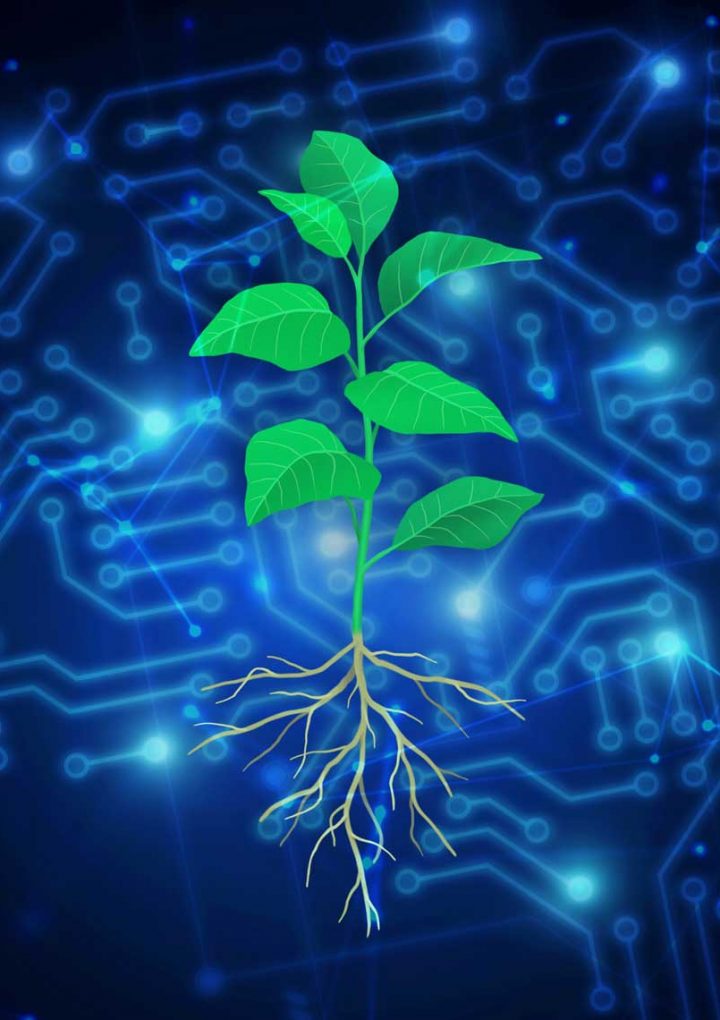 AI helps scientists engineer plants to fight climate change