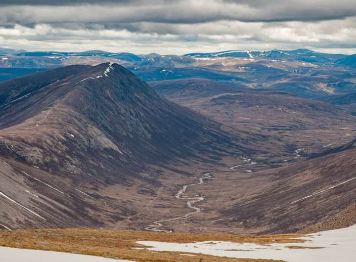 Using AI to help drones find lost hikers