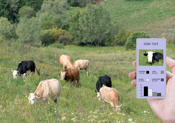 ECape intros tech to fight livestock theft