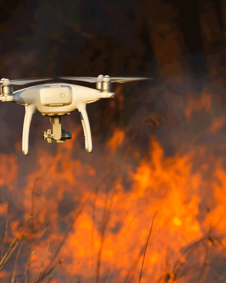 Forest fires could be tackled by swarms of drones