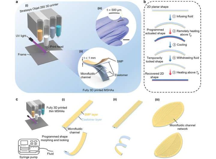 3D-printed mini-actuators can move small soft robots, lock them into new shapes