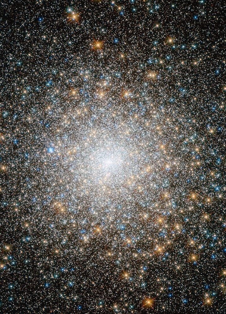 Globular Clusters Should Contain More Intermediate-mass Black Holes