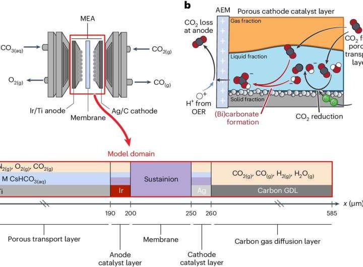 A better model for converting carbon dioxide into fuels and products