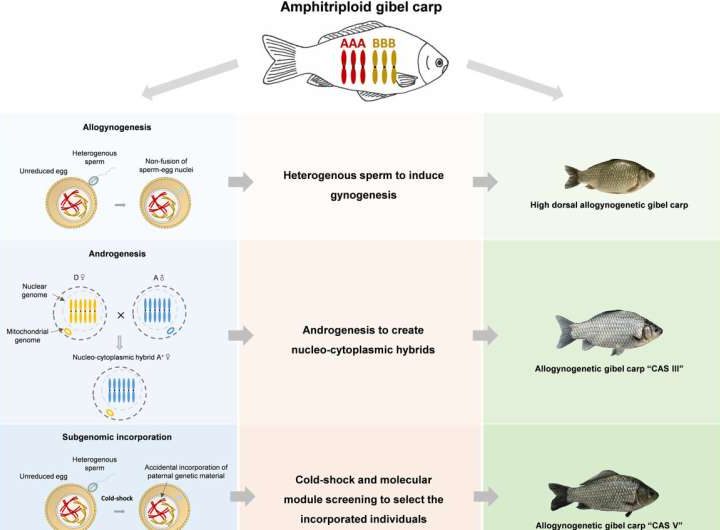 Chinese wisdom and modern innovation of aquaculture