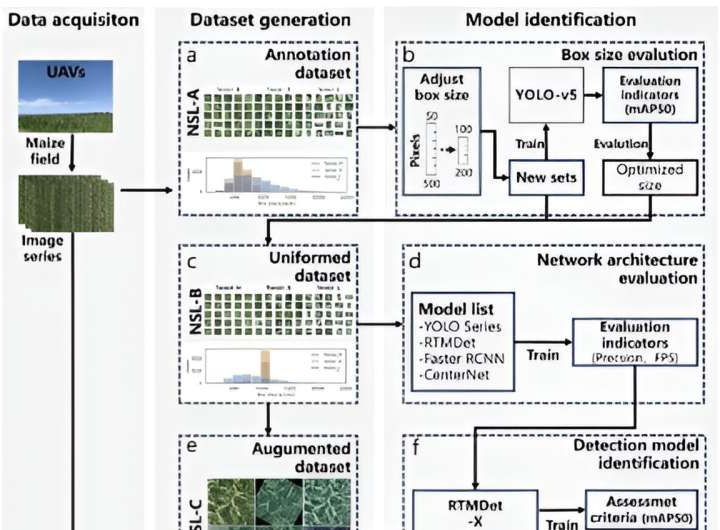 Innovative UAV and deep learning method enhances maize tassel detection accuracy