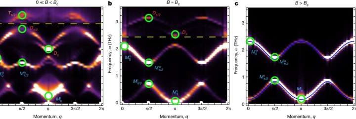 Researchers find magnetic excitations can be held together by repulsive interactions