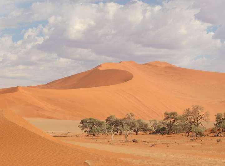 The audacious plan to seed a global green hub in Namibia’s desert