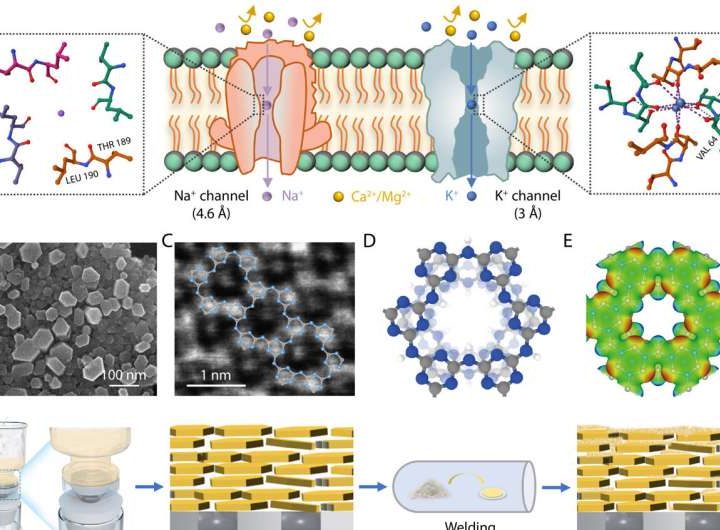 New carbon nitride membrane improves lithium extraction from salt lakes