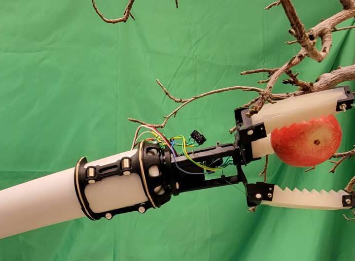 New robotic gripper for automated apple picking developed