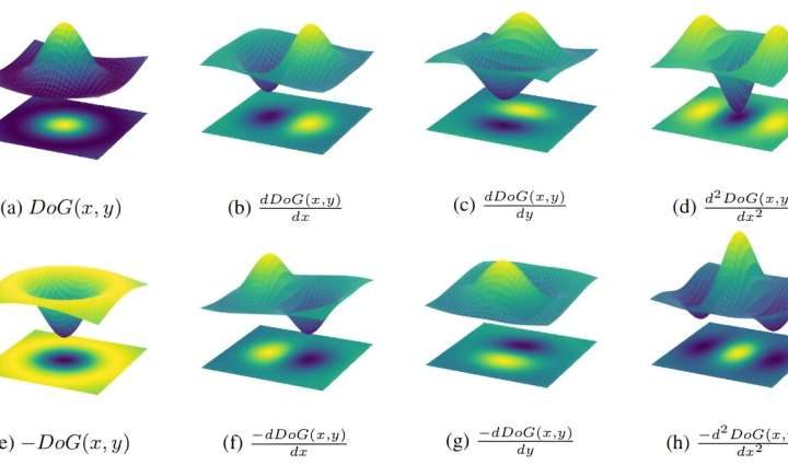 Researchers investigating how AI categorizes images find similarities to visual systems in nature