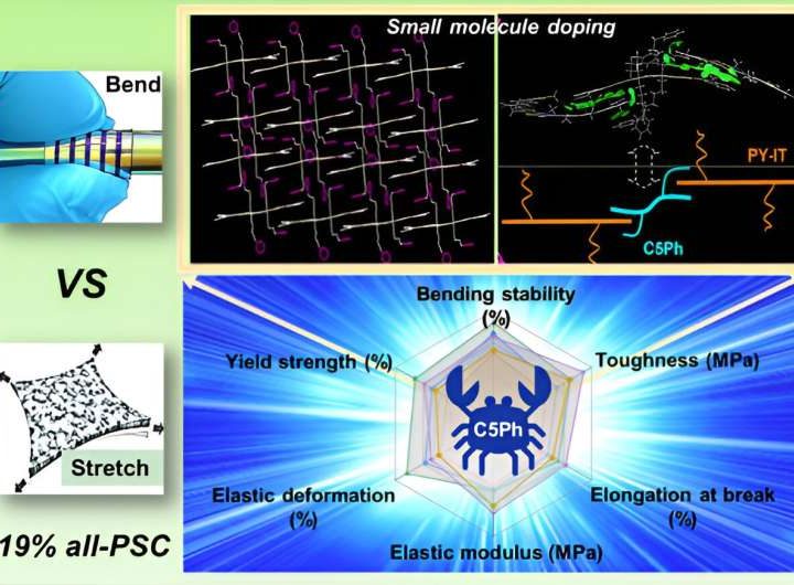 Scientists achieve high efficiency all-polymer solar cells through pincer-shaped, non-covalent bond interactions