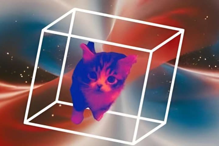 Squeezing Schrödinger’s cat may increase quantum sensitivity