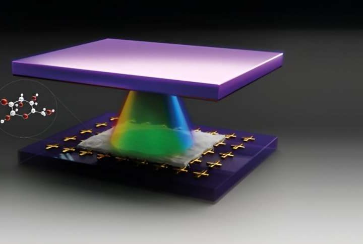 New method confines light inside an organic material to form a hybrid quantum state