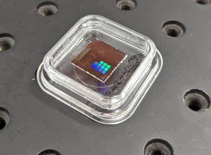 Tiny crop-health sensors could help cut the cost of groceries