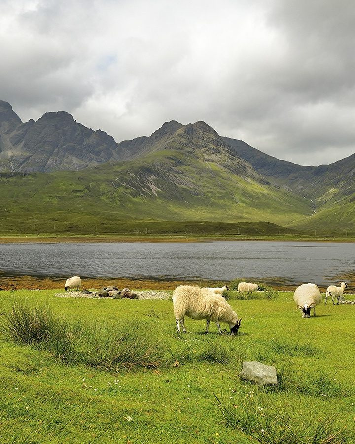 New deal with Scottish farmers will see farmland used for solar installations