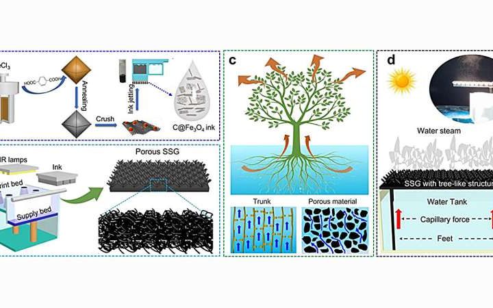 Researchers create bio-inspired 3D-printed solar steam generators for desalination