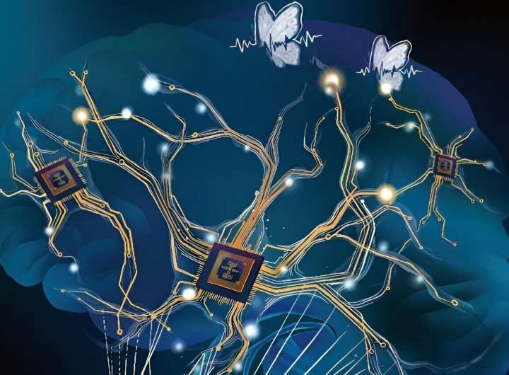 A new brain-inspired artificial dendritic neural circuit