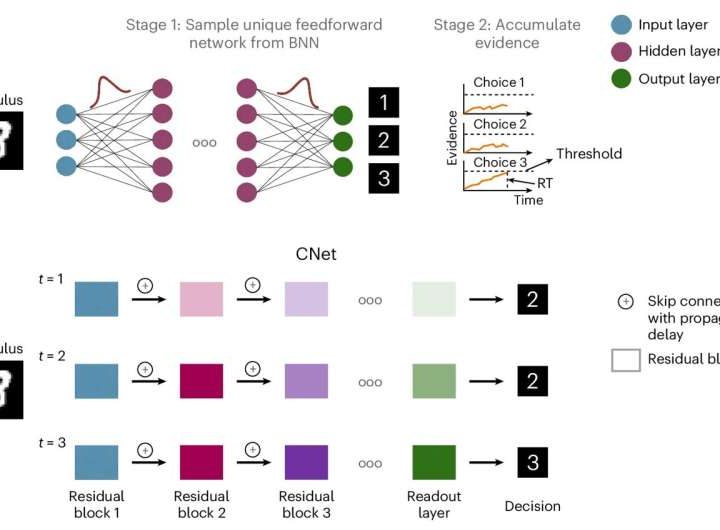 A new neural network makes decisions like a human would