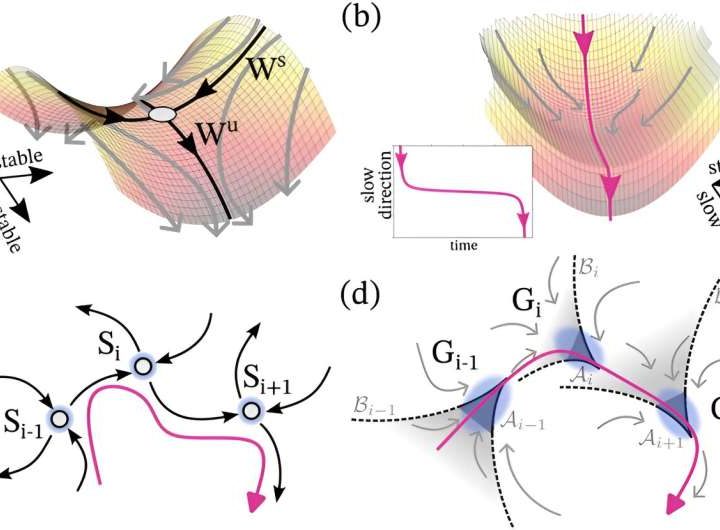 Balancing instability and robustness: New mathematical framework for dynamics of natural systems