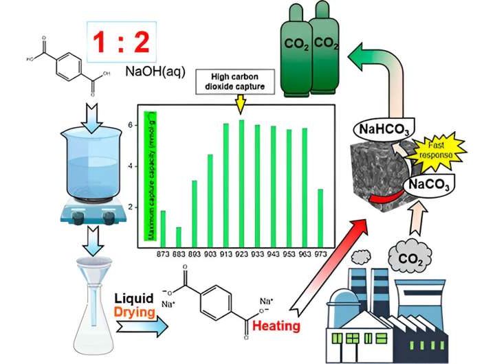 Capturing carbon with energy-efficient sodium carbonate−nanocarbon hybrid material