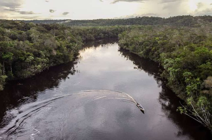 Carbon credits ‘ineffective’, says corporate climate watchdog