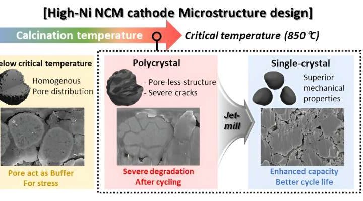 Single-crystal synthesis technology enhances durability of lithium secondary batteries