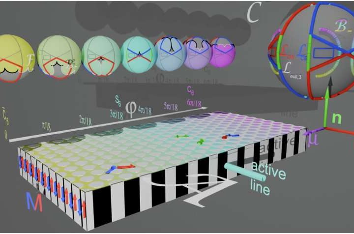 A microscopic factory for small runners: New method uses magnetic loops for growth control