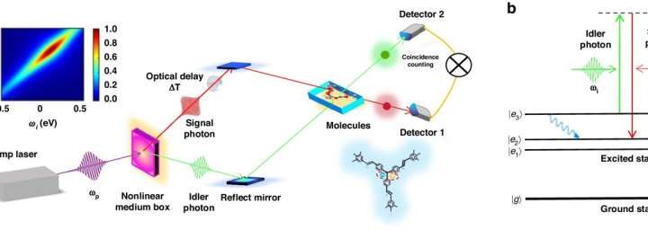 High-speed camera for molecules: Entangled photons enable Raman spectroscopy