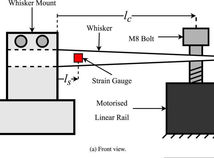 High-tech ‘whiskers’ give working robots more ability to move safely