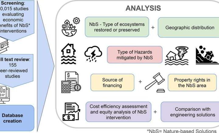 Nature-based solutions to disaster risk from climate change are cost-effective, study confirms