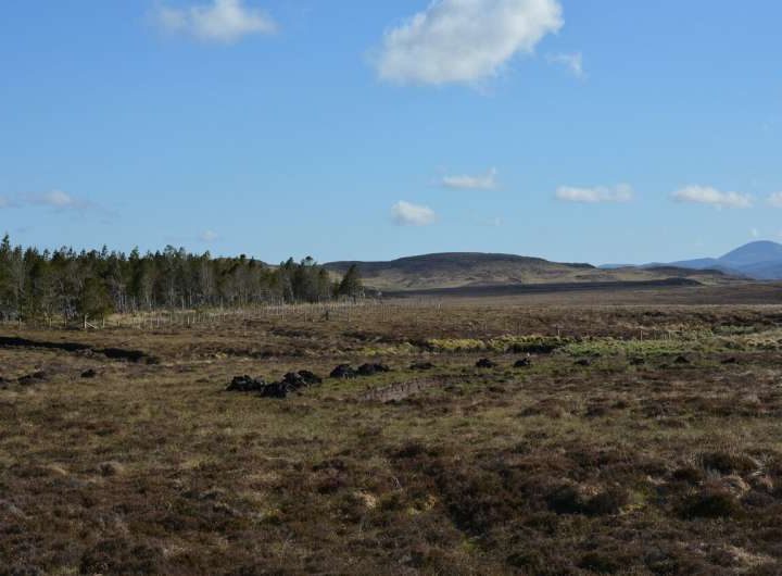 Restoring eroded peatlands could reduce flood risk for communities downstream, say UK researchers