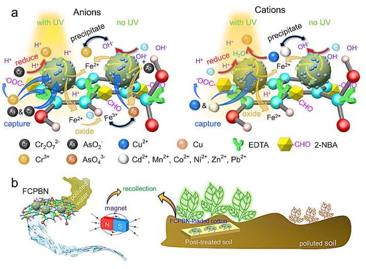 Researchers design nano primary battery system for remediating diverse heavy metal ions