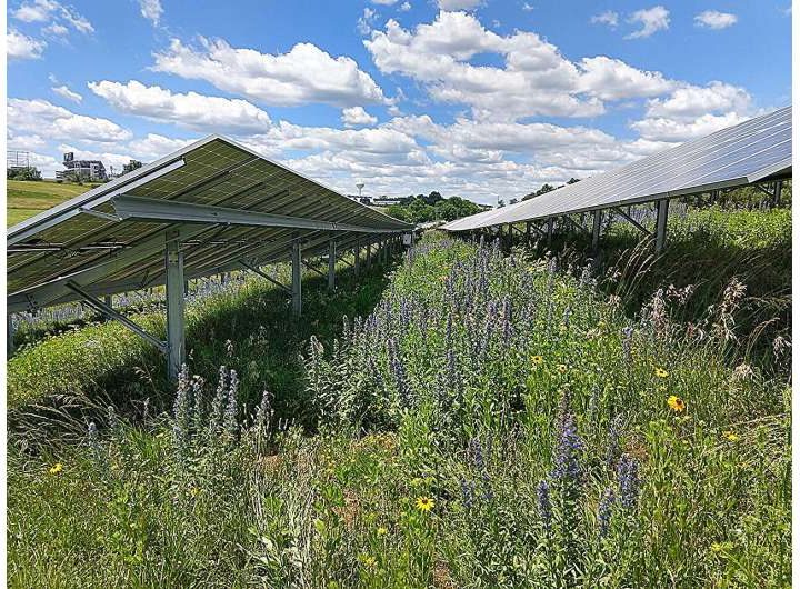 Solar farms with stormwater controls mitigate runoff and erosion, study finds