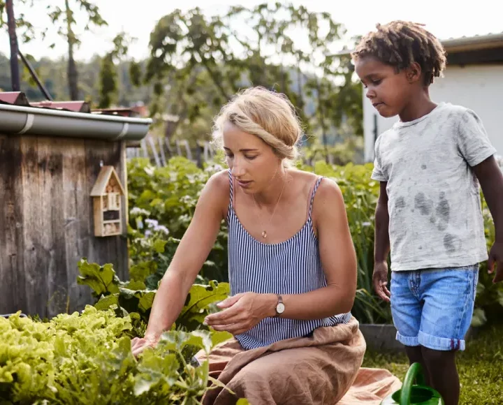 Can scientists make fruits and veggies resilient to climate change?