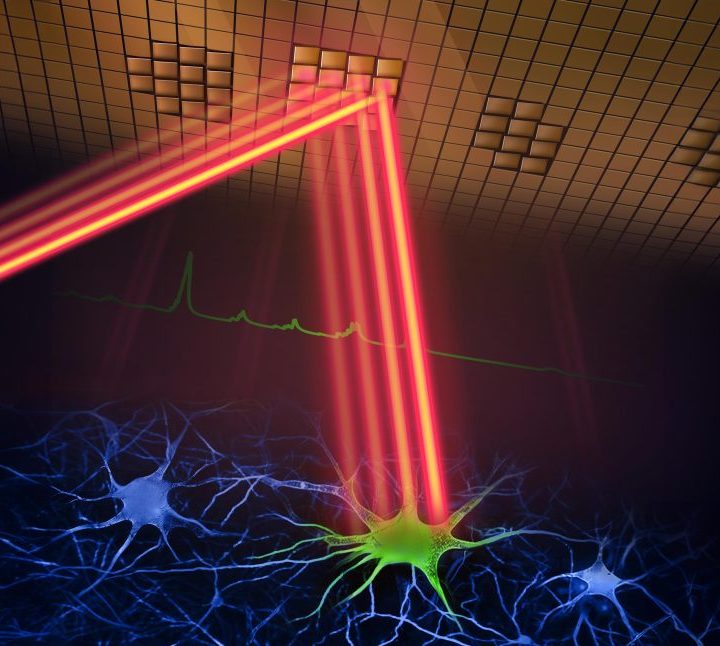 Revolutionary Two-Photon Microscope Captures Brain Activity in Real-Time