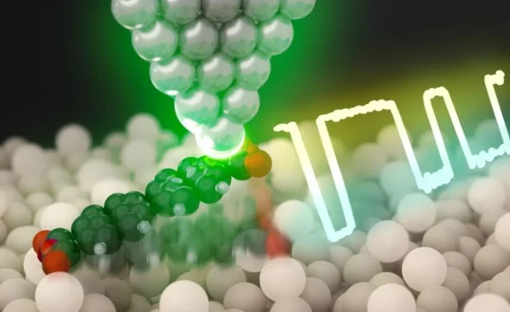 Atomic Control Unleashes New Era in Single-Molecule Optoelectronics