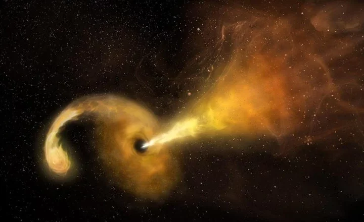 Cosmic Clockwork Decoded in Black Hole Feeding Patterns