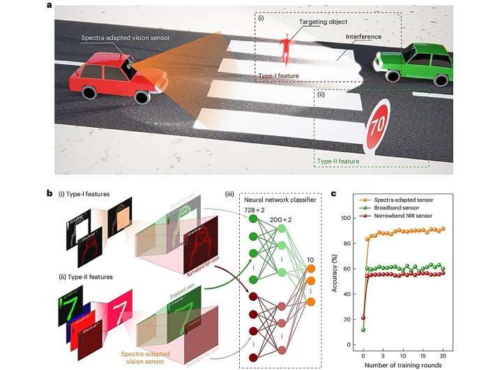 A bio-inspired vision sensor that can detect spectrally distinctive features