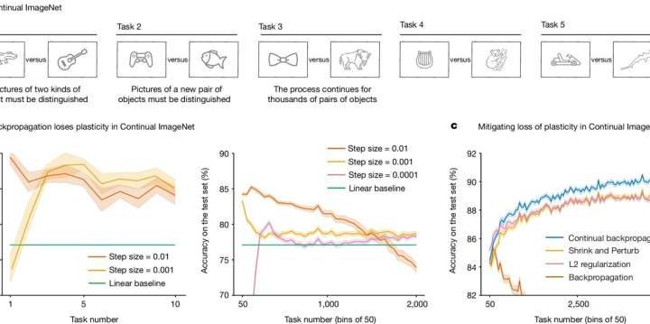 New method allows AI to learn indefinitely