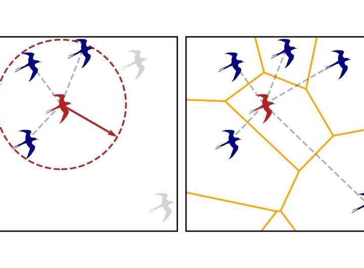 Study observes that similarities between physical and biological systems might be greater than we think