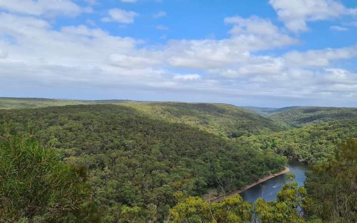 Industry push to earn carbon credits from Australia’s native forests would be a blow for nature and the climate