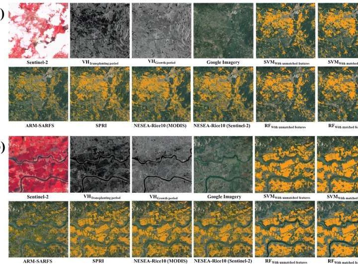 From plows to pixels: Comprehensive rice mapping with satellite technology