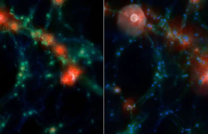 Astronomers find galaxies in denser environments are as much as 25% larger than those in less dense regions