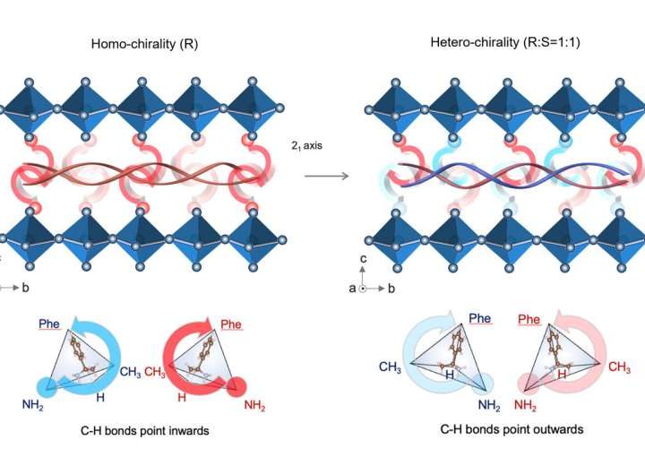 Engineers enhance perovskite solar cells durability with first-of-its-kind chiral-structured ‘springy’ interface