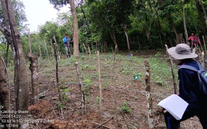 How farmers and tech teamed up to better test crops