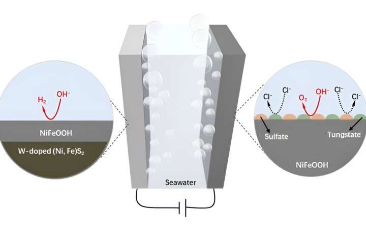 Innovating sustainable hydrogen production via seawater electrolysis