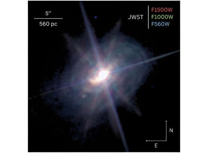 JWST unveils the structure of dust near a supermassive black hole