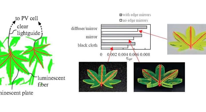 Leaf-like solar concentrators promise major boost in solar efficiency